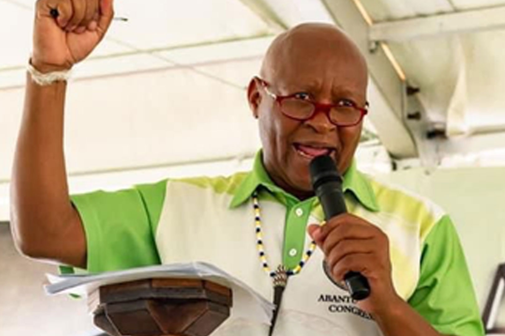 UPhilani Mavundla uzomela ABC kwesika Ndunankulu KwaZulu-Natal