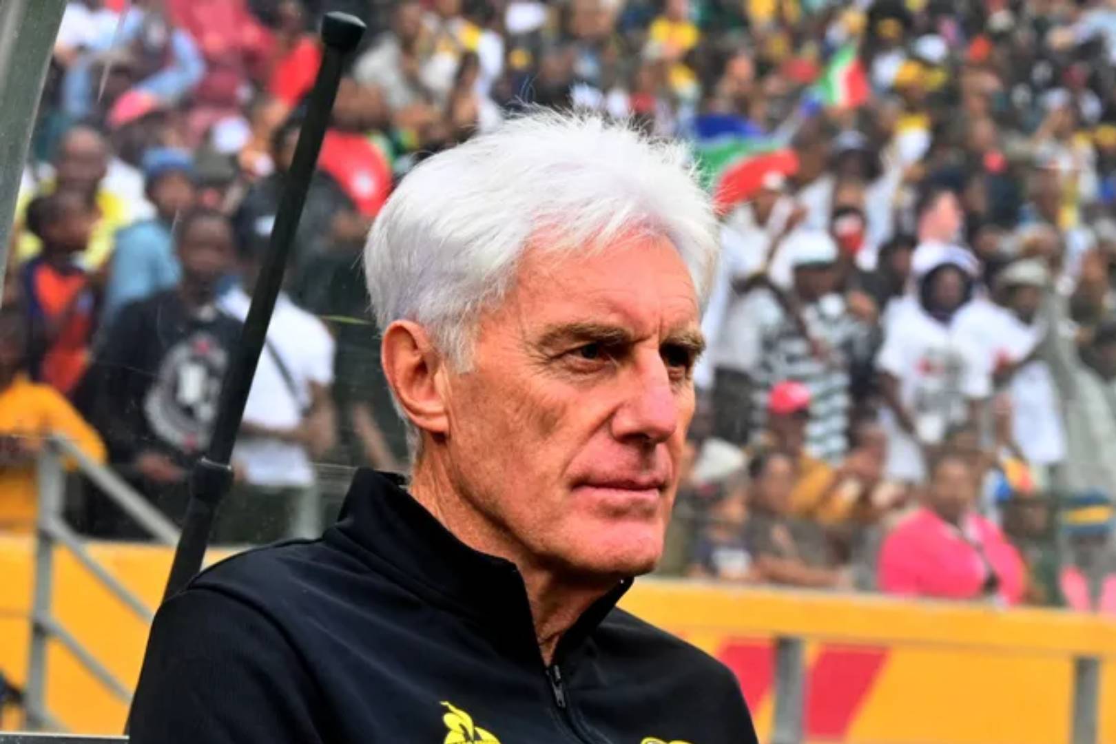 U-Broos uvikela uSibisi osolwa ngokuboza